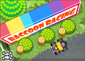 play Raccoon Racing