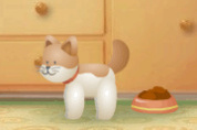 play Net Pet