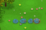 play Mushroom Madness