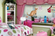play Sweet Home