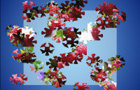 play Jigsaw Puzzles