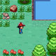 play Pokemon Flash