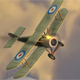 play Dogfight 2