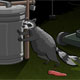 play The Visitor Returns