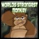 Worlds Strongest Monkey