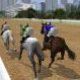 play Horse Racing Fantasy