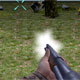 play Turkey Shooter