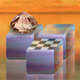 play Block Drop