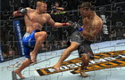 play Ufc Fighting Jigsaw