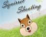 play Squirrel Shooting
