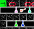 play Rainbow Spawn Defense