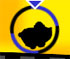 play Ballracer