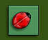 play Lucky Ladybug