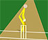 play Cann Cricket