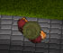play Deadly Investigation