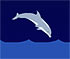 play Dolphin Olympics
