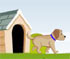 play Pup World