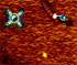 play Quadro Barrel Defence