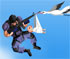 play Stork Shot