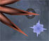 play Soul Quest Plus
