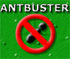 play Ant Buster
