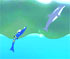 play Dolphin Olympics 2