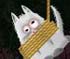 play Vampire Kitten