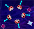 play Butcherbugs