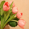 play Jigsaw: Tulips