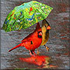 play Walking In The Rain Slide Puzzle