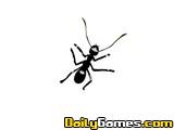 play Ant War