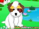 play Baby Shih Tzu