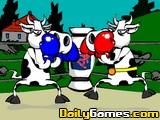 play Cow Fighter