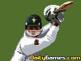 play Pixel Cricket