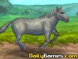 play My Pet Horse