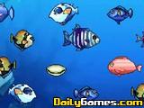 play Couple Fishes