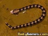 play Python