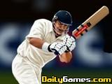 play Online Cricket 2011