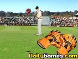 play Test Catch Cricker