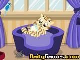 play Cat Breeder