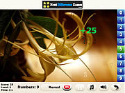 play Sunbeam Find Numbers