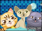 play Cat Breeder 2