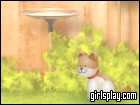 play Net Pet