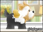 play Pet Grooming Studio