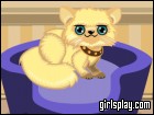 play Cat Breeder