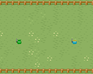 play Pompom World