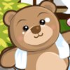 play Bear Spa