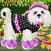 play Cute Puppy Dressup