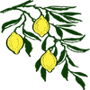 play Lemon Branch Jigsaw