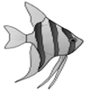 play Altum Angelfish Jigsaw